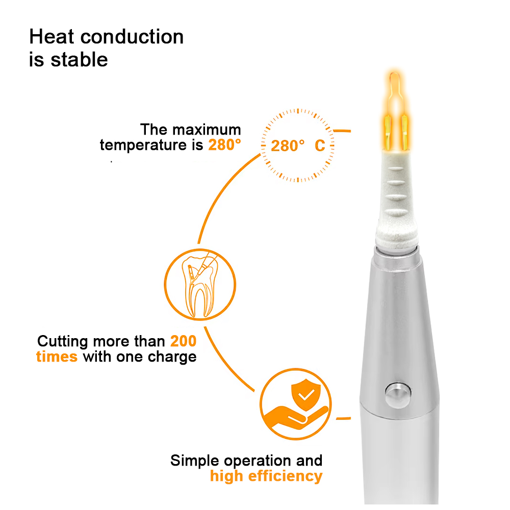 8 Tips Dental Gutta Percha Cut - Teeth Whitening Tips 리뷰 및 가격