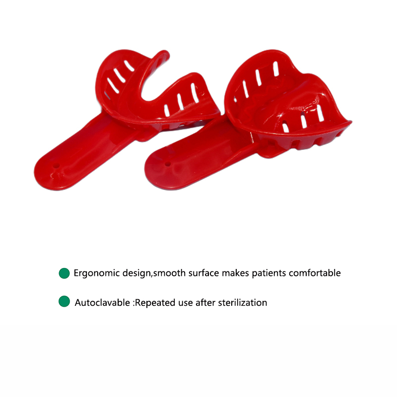 12pcs Dental Impression Trays  - Teeth Whitening Tray 리뷰 및 가격