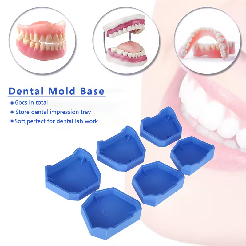 2/6Pcs Dental Model Base Silic - Teeth Whitening Tray 리뷰 및 가격