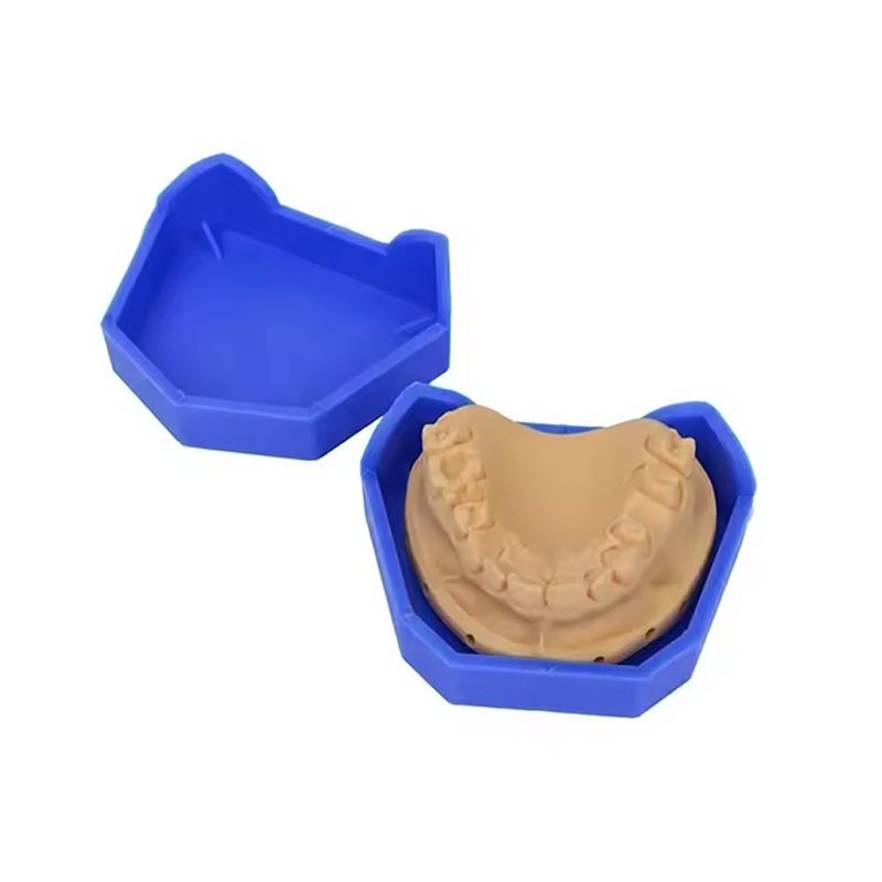 2/6Pcs Dental Model Base Silic - Teeth Whitening Tray 리뷰 및 가격