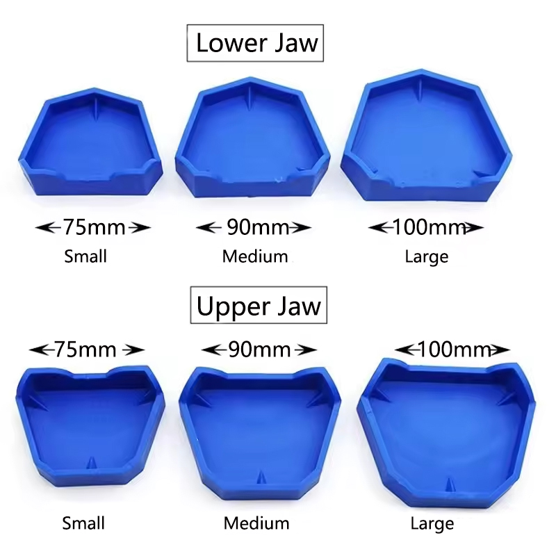 2/6Pcs Dental Model Base Silic - Teeth Whitening Tray 리뷰 및 가격
