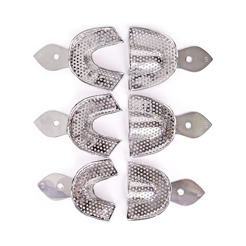 Stainless Steel Dental Impress - Teeth Whitening Tray 리뷰 및 가격