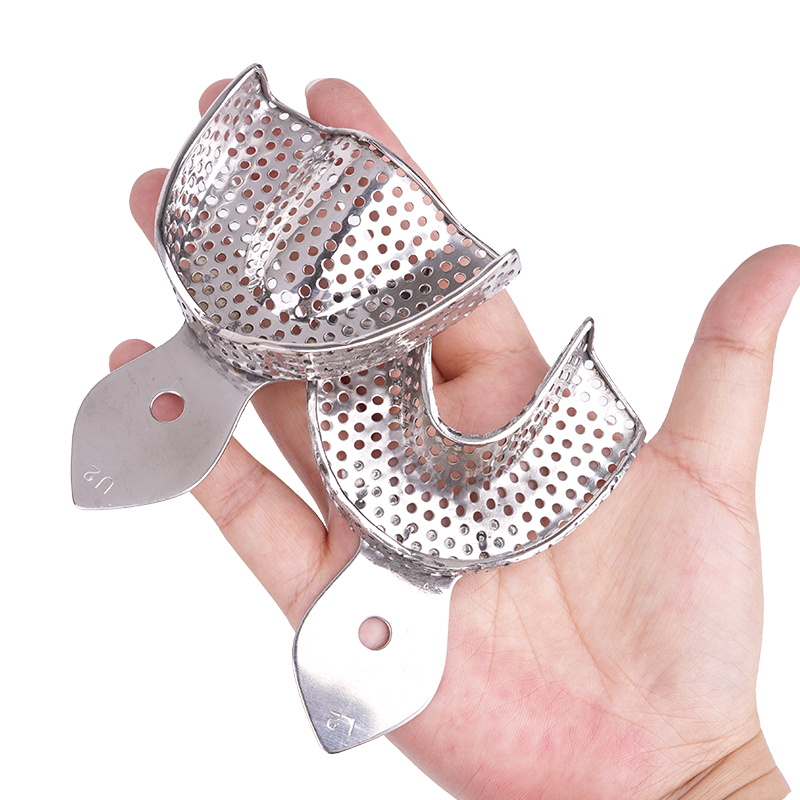 Stainless Steel Dental Impress - Teeth Whitening Tray 리뷰 및 가격