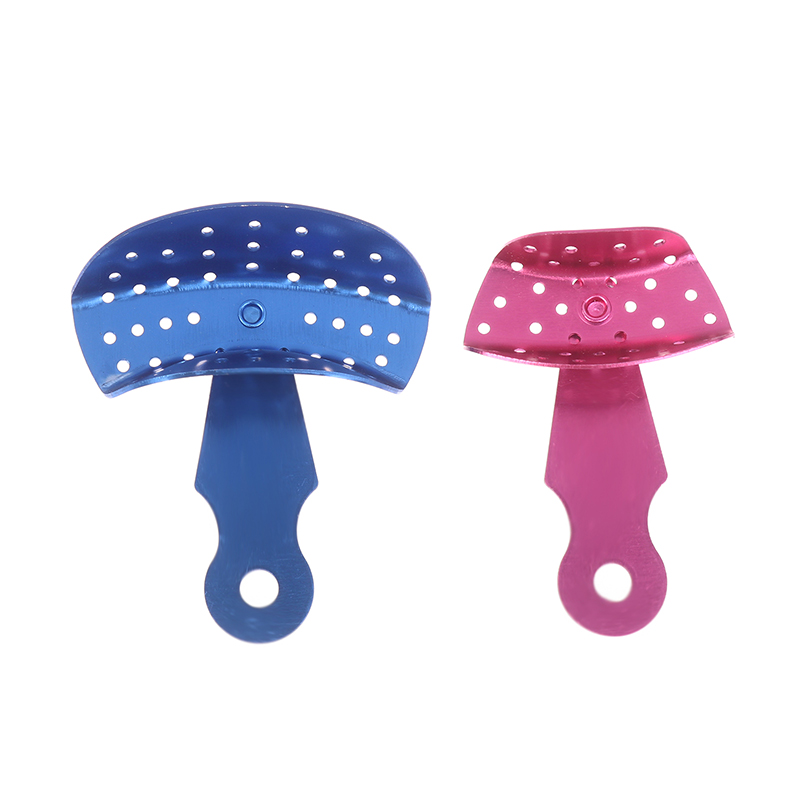 Dental Impression Tray Rotatab - Teeth Whitening Tray 리뷰 및 가격