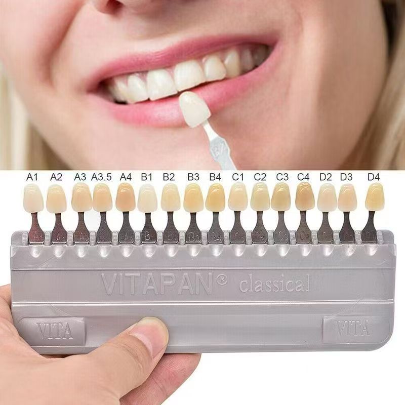 VITA 16 Colors Teeth Shade Gui - Teeth Whitening Professional 리뷰 및 가격