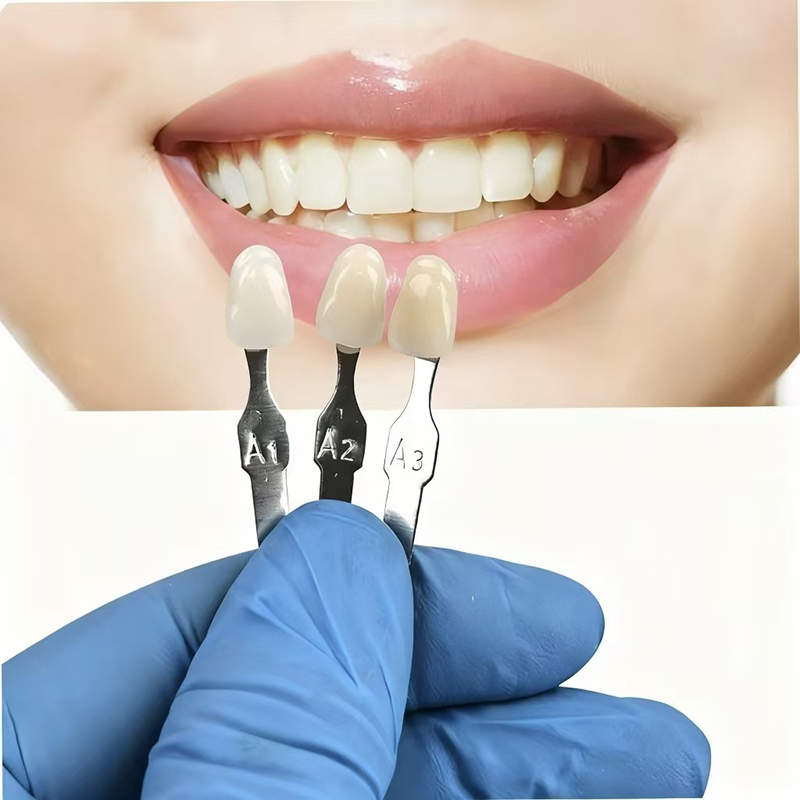 VITA 16 Colors Teeth Shade Gui - Teeth Whitening Professional 리뷰 및 가격