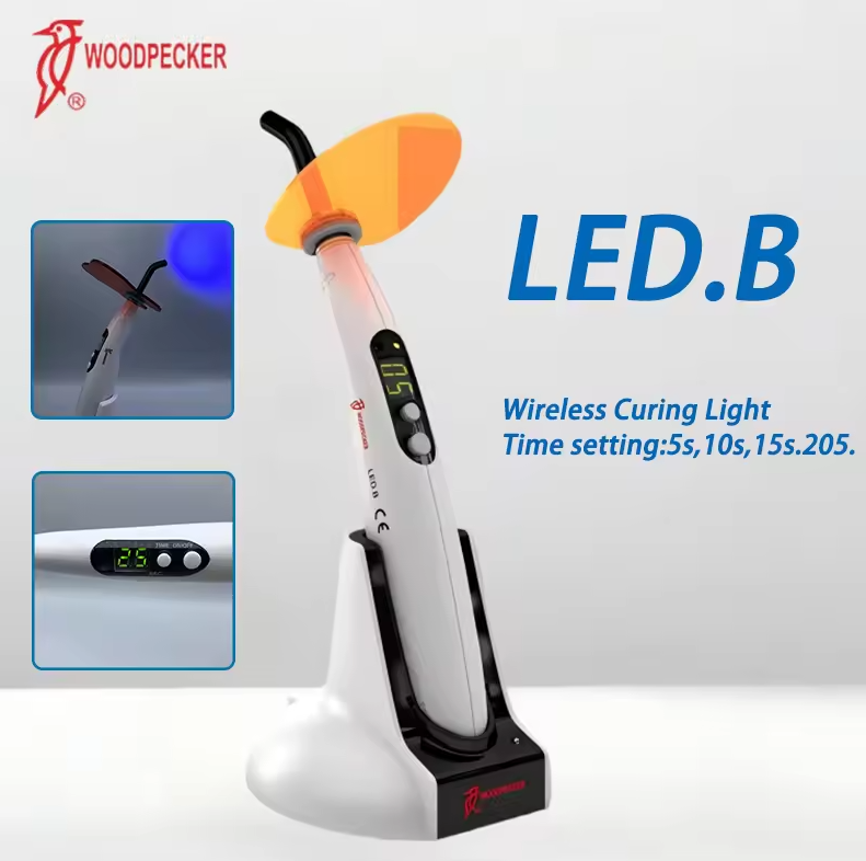 Dental Curing Light Woodpecker - Teeth Whitening Kit 리뷰 및 가격