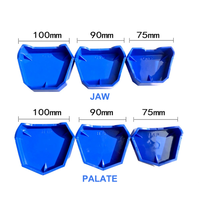 2/6Pcs Silicone  Dental Model  - Teeth Whitening Tray 리뷰 및 가격