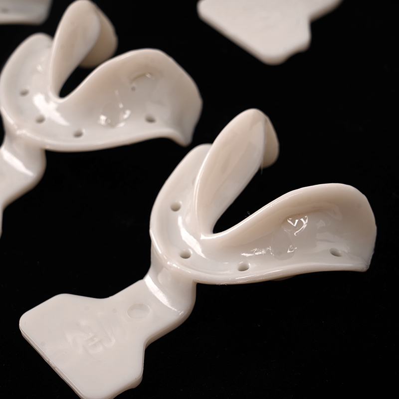 17pcs Dental Impression Trays  - Teeth Whitening Tray 리뷰 및 가격
