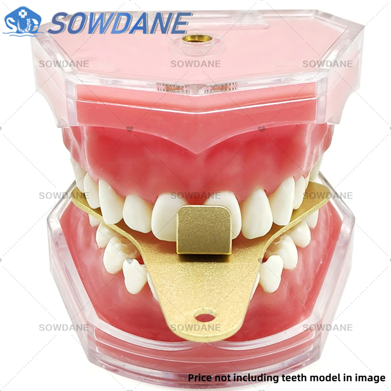 Dental Lab Impression Trays to - Teeth Whitening Tray 리뷰 및 가격