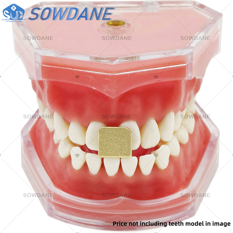 Dental Lab Impression Trays to - Teeth Whitening Tray 리뷰 및 가격