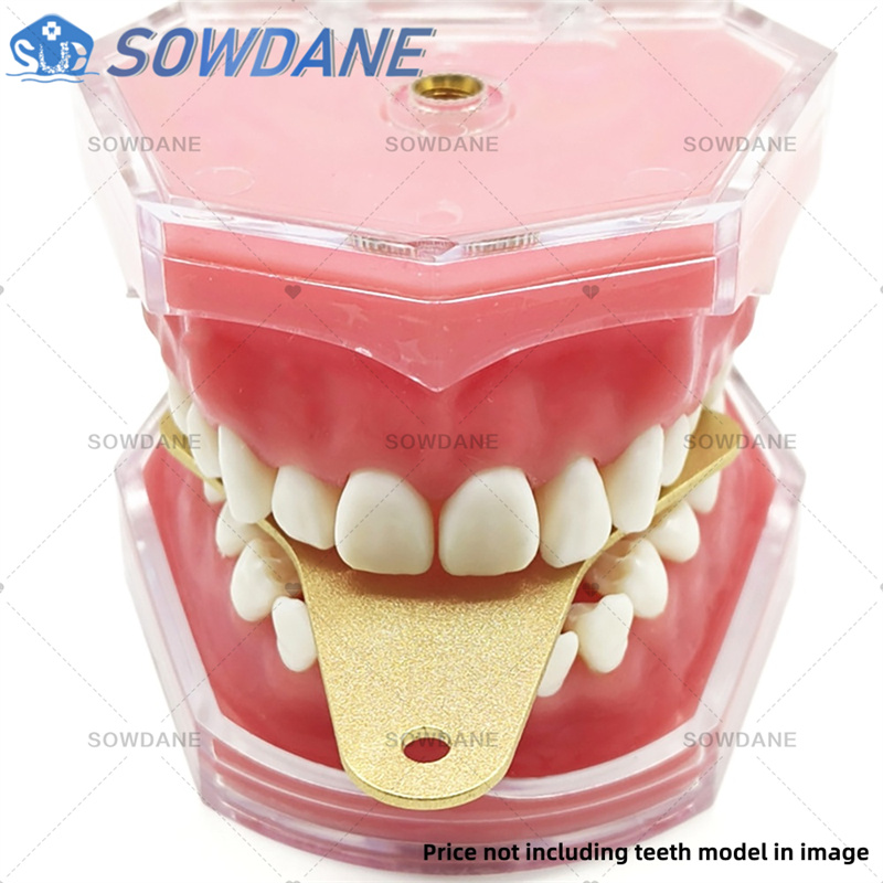 Dental Lab Impression Trays to - Teeth Whitening Tray 리뷰 및 가격