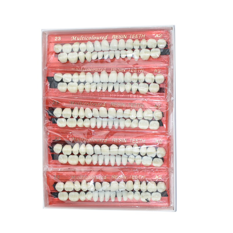 28 Teeth Dental Resin Denture  - Teeth Whitening Kit 리뷰 및 가격
