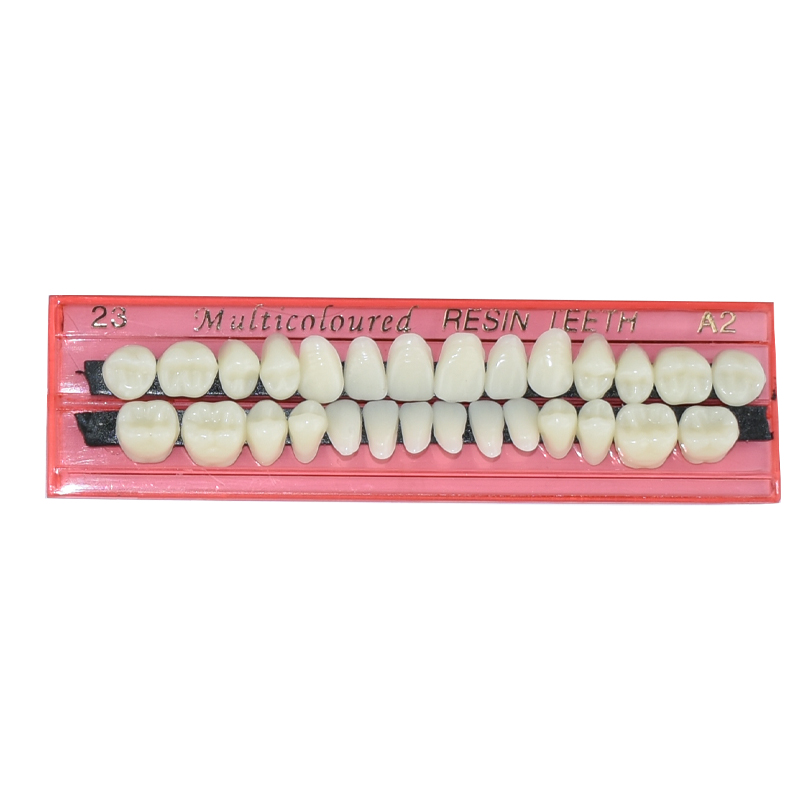 28 Teeth Dental Resin Denture  - Teeth Whitening Kit 리뷰 및 가격