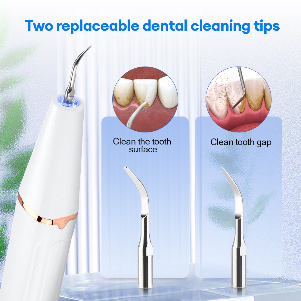 Electric Ultrasonic Dental Sca - Teeth Whitening Professional 리뷰 및 가격