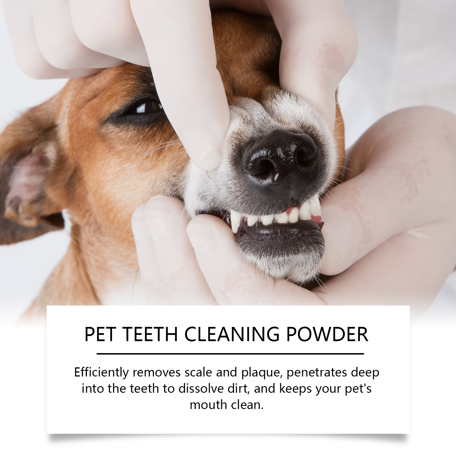 Pet Teeth Cleaning Powder Redu - Teeth Whitening App 리뷰 및 가격