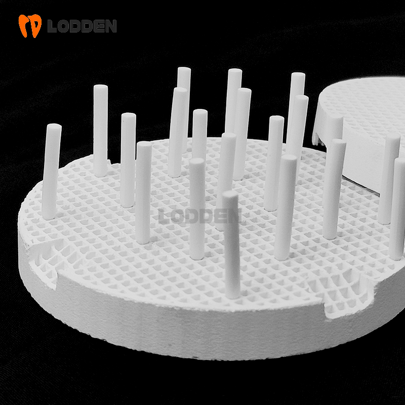 LODDEN Ceramic Honeycomb Firin - Teeth Whitening Tray 리뷰 및 가격