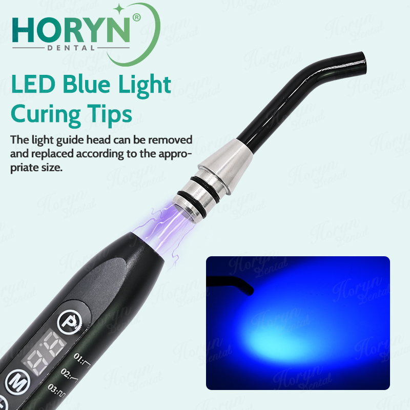 Dental LED Curing Light Guide  - Teeth Whitening Tips 리뷰 및 가격