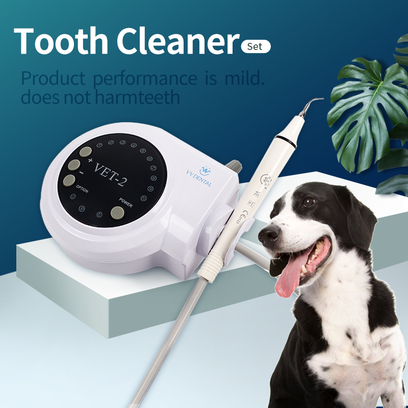 Pet Dental Ultrasonic Scaler D - Teeth Whitening Tips 리뷰 및 가격