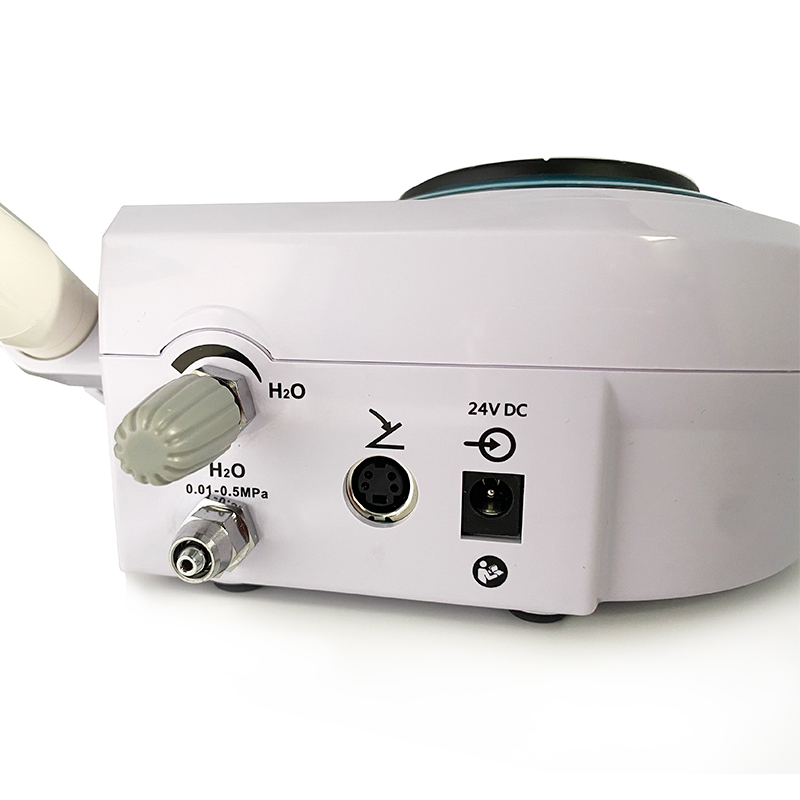 Pet Dental Ultrasonic Scaler D - Teeth Whitening Tips 리뷰 및 가격