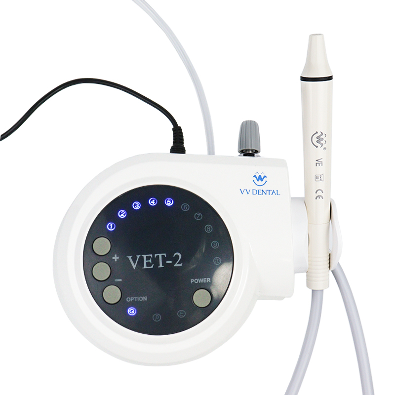 Pet Dental Ultrasonic Scaler D - Teeth Whitening Tips 리뷰 및 가격