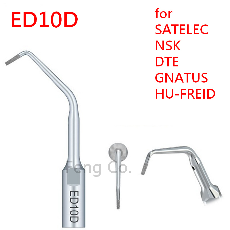 ED10D Dental Ultrasonic Scaler - Teeth Whitening Tips 리뷰 및 가격